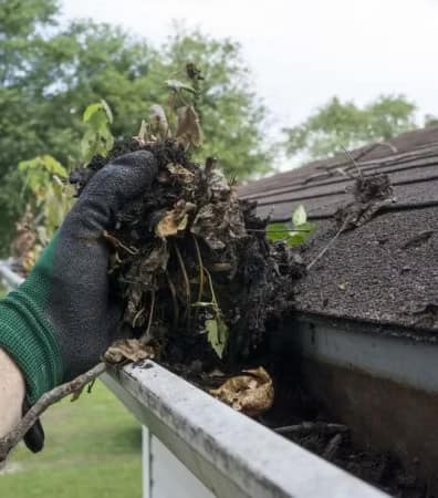 Nettoyage d'une gouttière obstruée par les feuilles